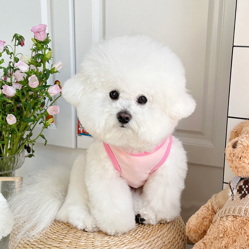 ins宠物狗狗猫咪衣服春装新款日韩泰迪比熊小型犬春夏季刺绣背心