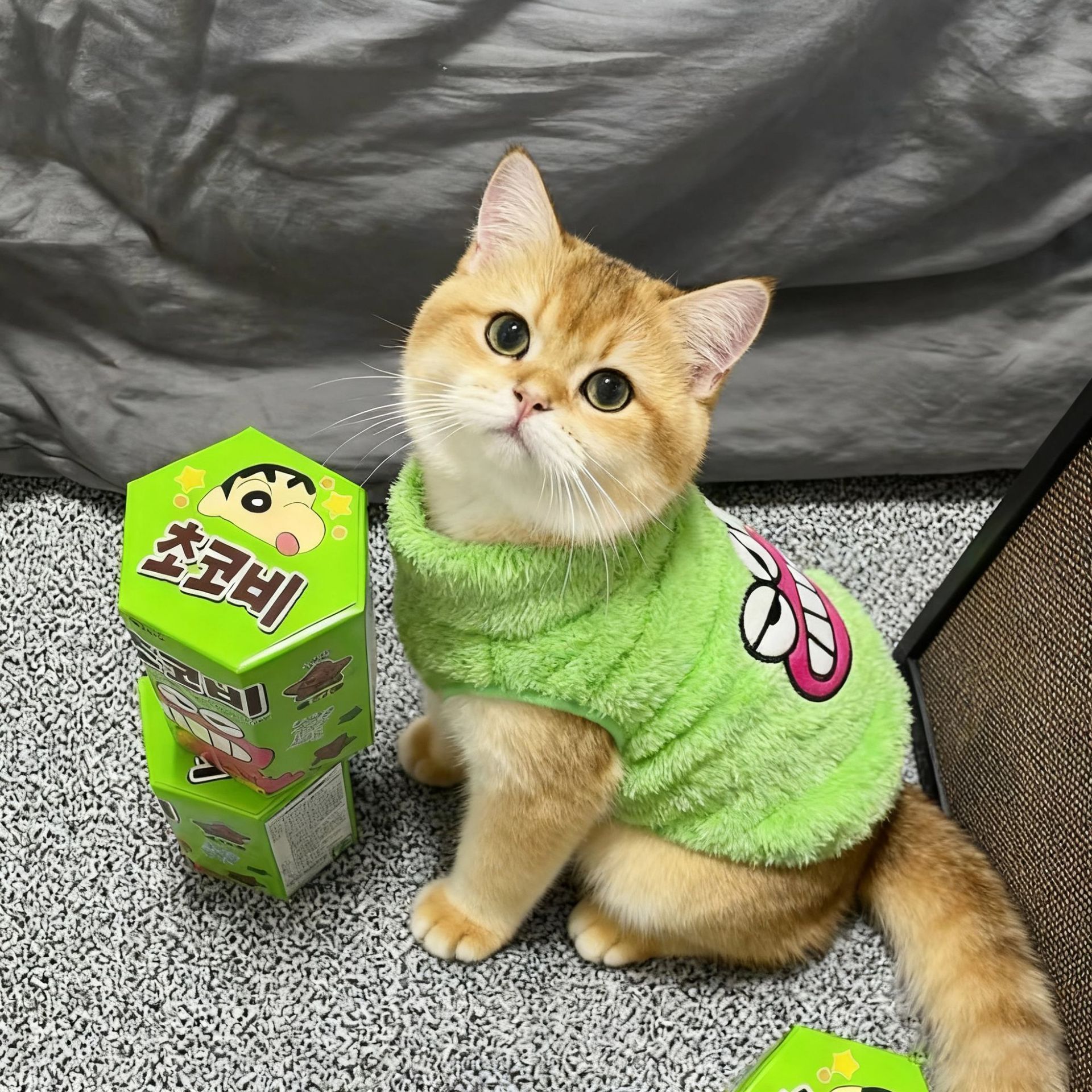 猫咪衣服秋冬新款金渐层布偶猫幼猫狗狗绿色保暖绒衣宠物加绒背心