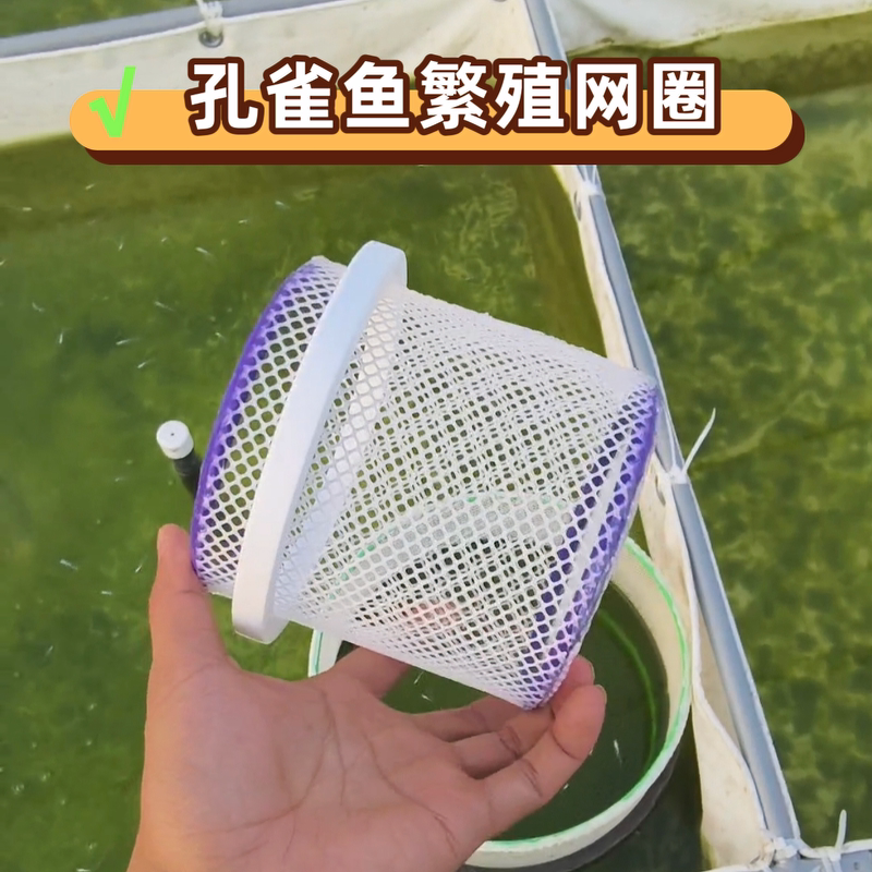 孔雀鱼隔离繁殖浮圈可移动