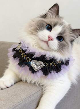 无水晶暗黑公主宠物项圈猫项链