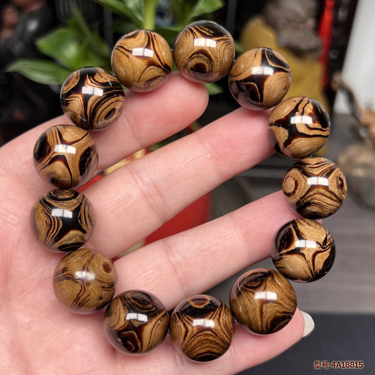 收藏级天然海柳18mm手串