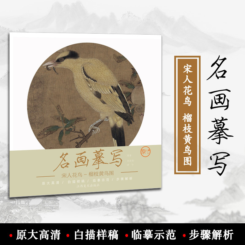 名画摹写 宋人花鸟 榴枝黄鸟图 零基础初学入门学生成人自学白描样稿