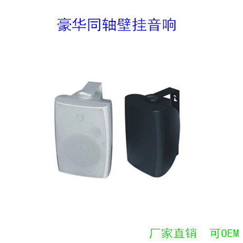 舞蹈室豪华壁挂音箱会议室定阻同轴高音音响健身房挂壁式定压喇叭