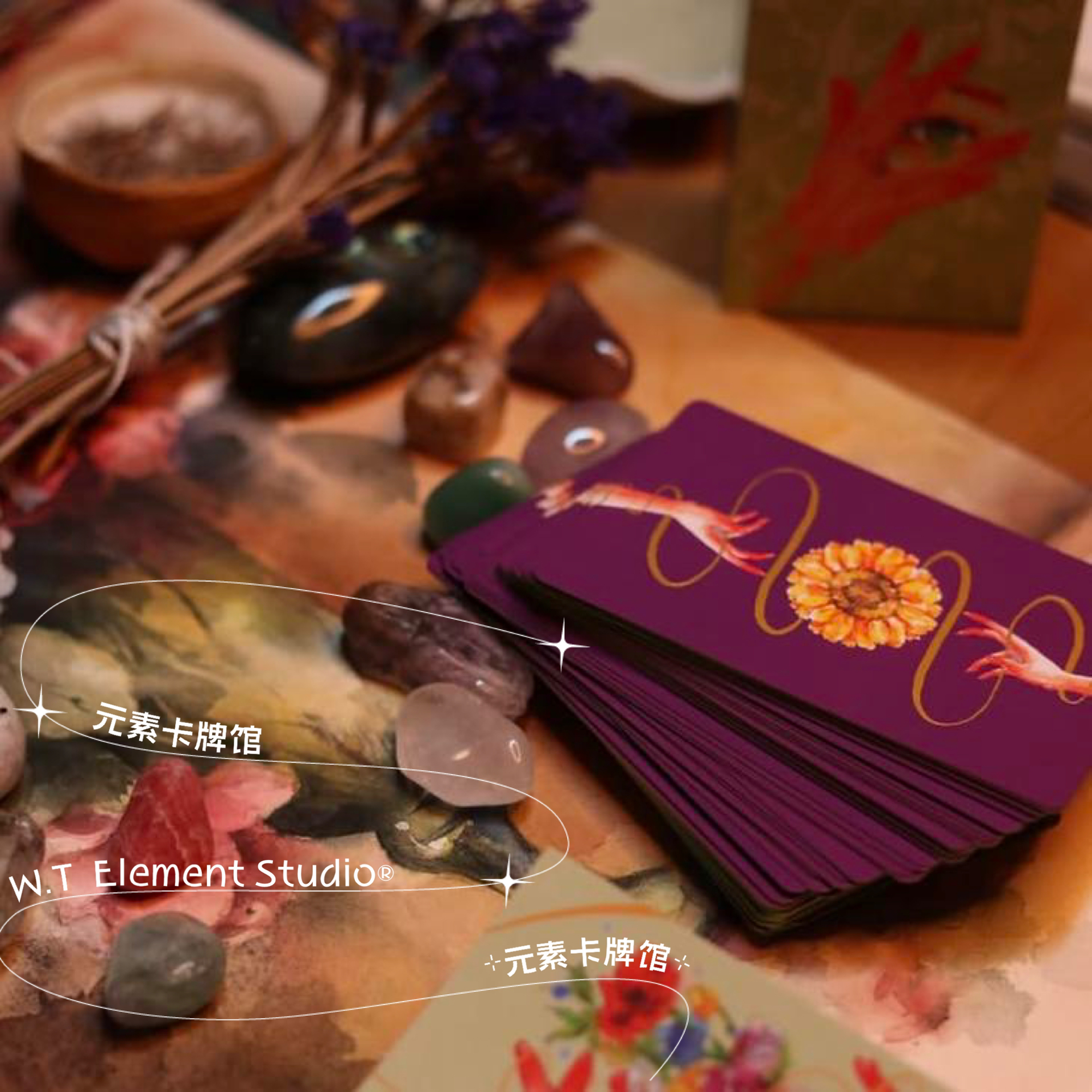 现货 进口 Floral seeker tarot 花卉探索者塔罗牌