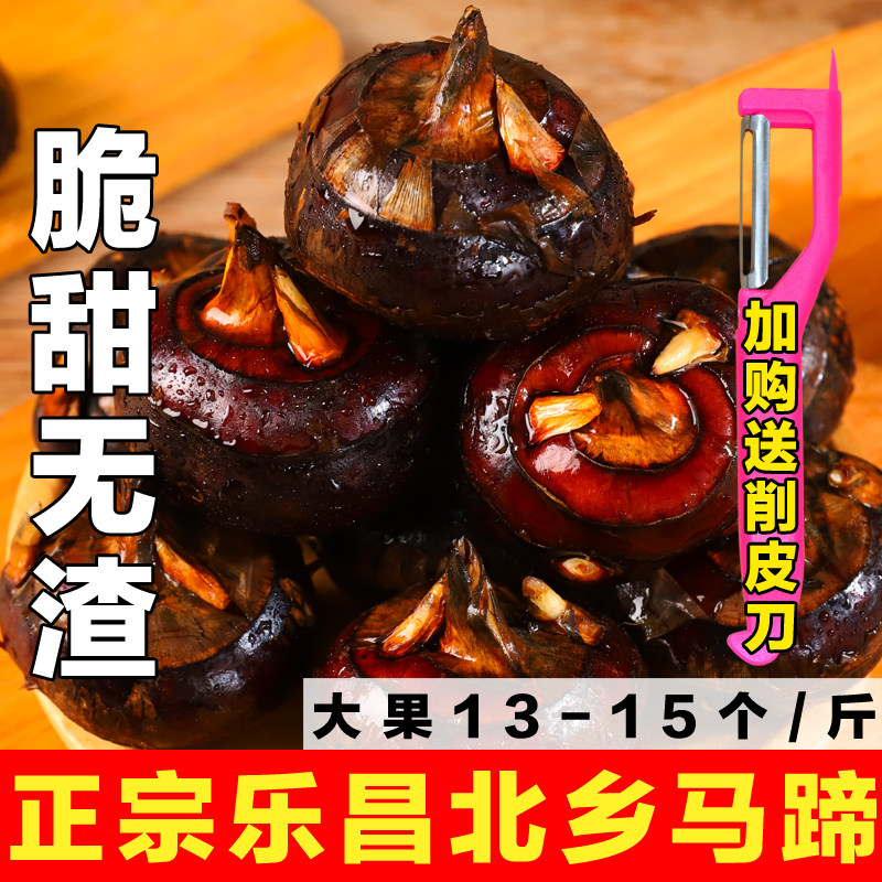 新鲜乐昌北乡马蹄脆甜化渣