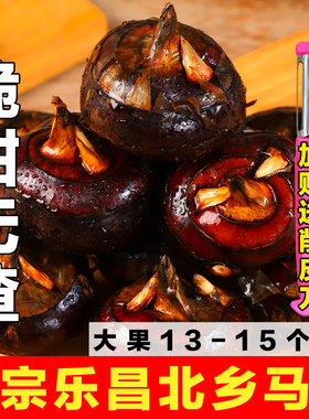 正宗即食韶关乐昌北乡马蹄 农家新鲜绿色水果蔬菜荸荠  地栗礼盒