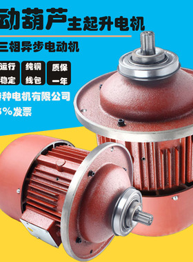 南京特种电机三相异步高速电动机马达原装升降运行葫芦变频起重机