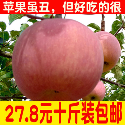 山西万荣苹果新鲜水果红富士冰糖心10斤装箱包邮现摘现发当季无蜡