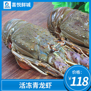 青龙虾鲜活冷冻小青龙新鲜大龙虾非波龙湛江海鲜水产2只1斤左右