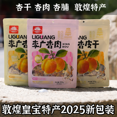 甘肃皇宝特产杏肉无核杏干