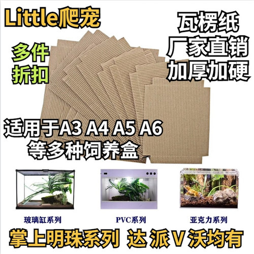 爬宠瓦楞纸垫材爬虫用品