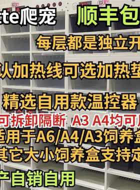 pvc智能恒温爬柜豹纹守宫