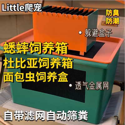 蟋蟀饲养箱专用养殖架白蟋蟀饲料蟋蟀活物用具品大全白蛐蛐油葫芦