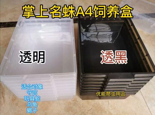 Little爬宠a4饲养盒爬宠