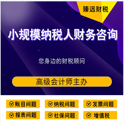 小规模纳税人财务咨询 会计服务 财税问题咨询 账务处理 税收筹划