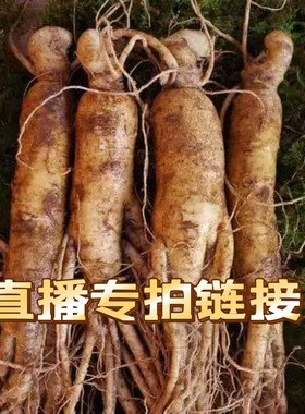 直播专拍链接   拍前联系主播  已直播间为准
