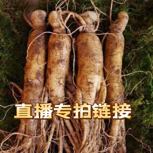 直播专拍链接   拍前联系主播  已直播间为准