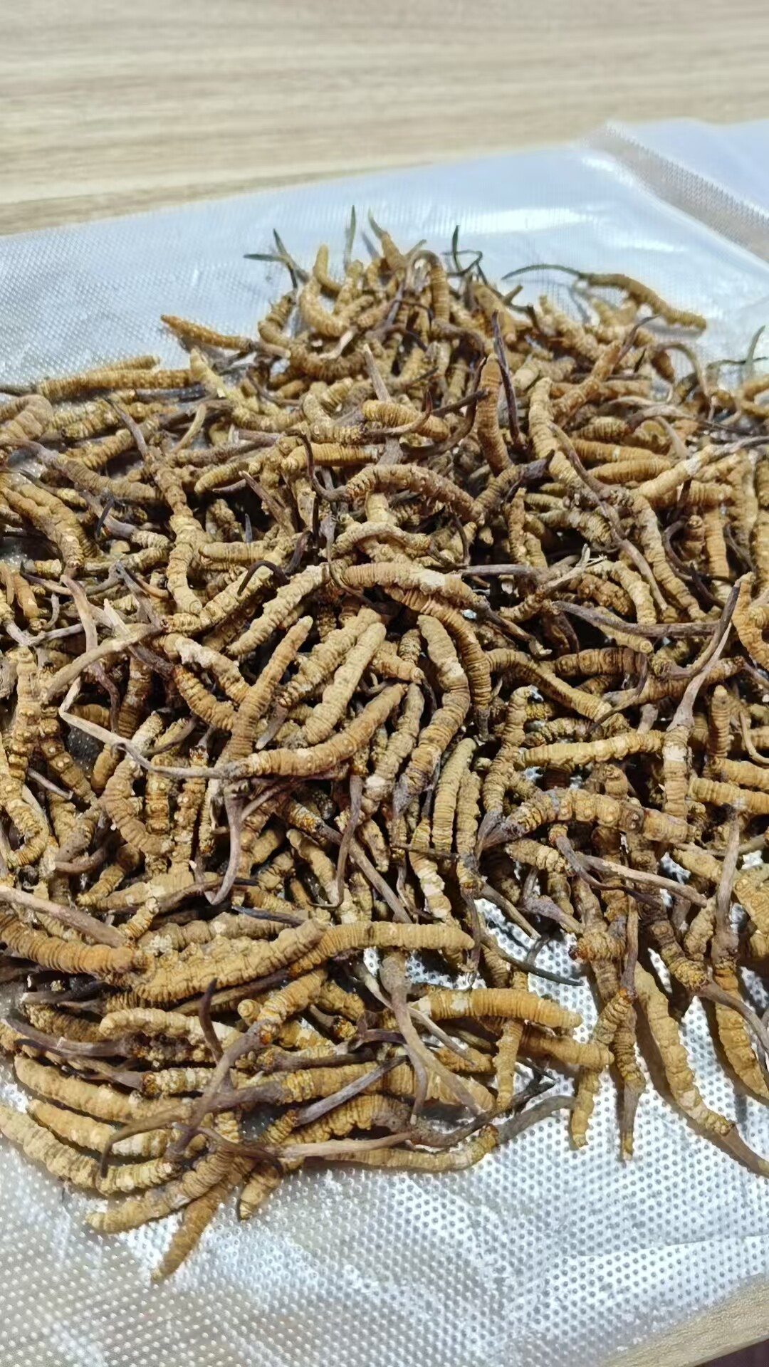 虫草头期正宗冬虫夏草干断虫草特产自用冬虫夏草