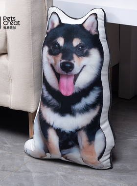 金十月的猫贴贴色色柴犬抱枕毛绒玩具沙发靠垫客厅午睡情侣女生