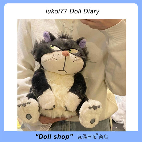 谁还没有一只又拽又坏的路西法呢