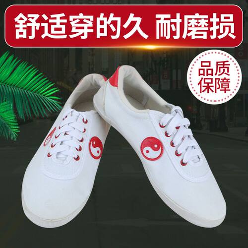 奥之武正品太极鞋武术鞋男女帆布功夫鞋练功鞋耐磨牛筋底透气防臭