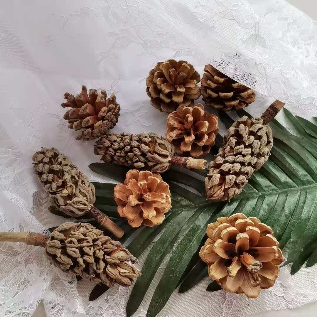 景德镇高档手绘粉彩陶瓷器花盆黄色万花阳台装饰树盆特大号室内兰_虎窝淘