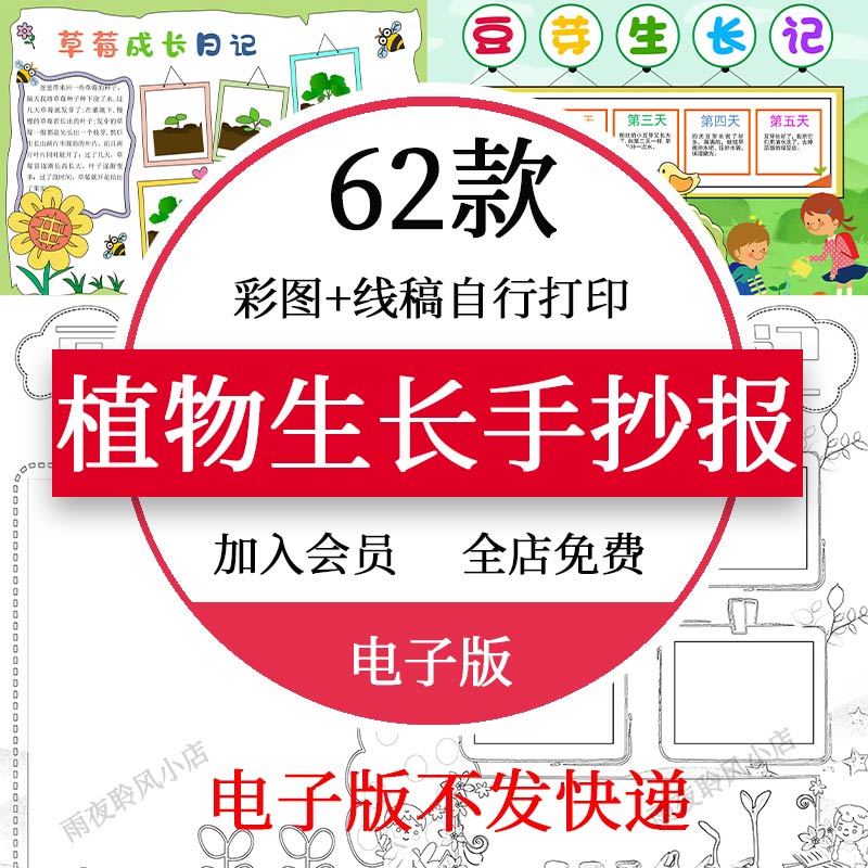 植物生长手抄报土豆大蒜苗水仙花多肉生长过程观察日记小报模板a4