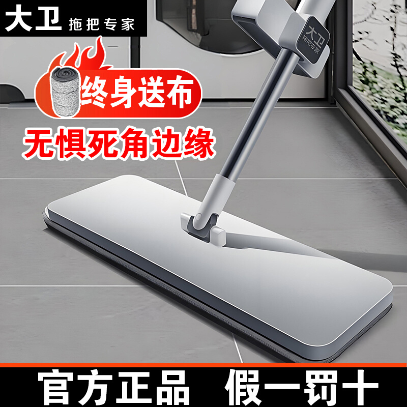 大卫拖把免手洗一拖净家用平板拖把干湿两用懒人拖地神器吸水墩布