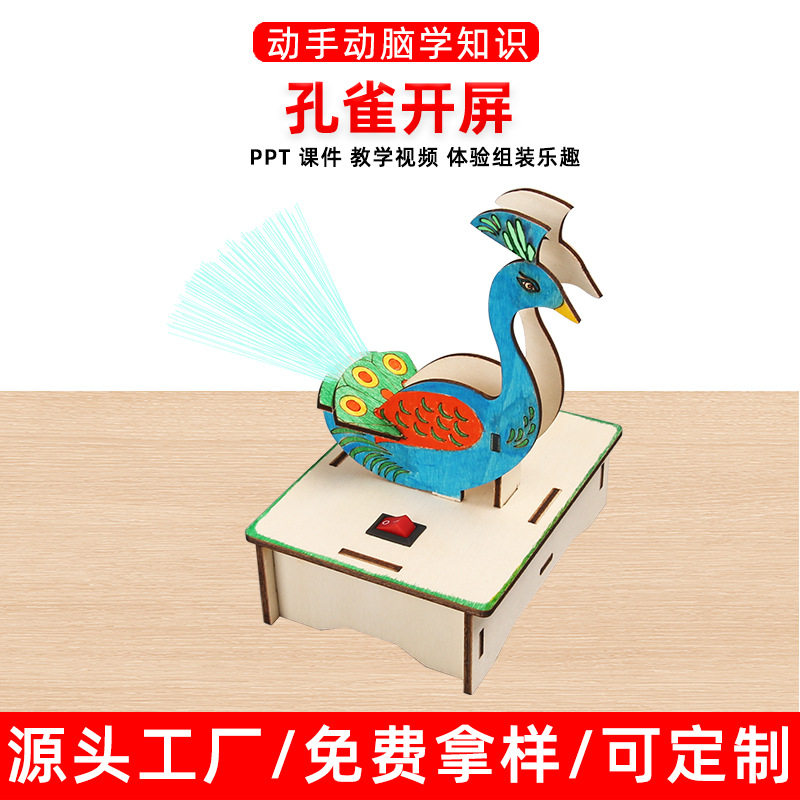 孔雀开屏七彩光纤DIY手工制作科技模型拼装学生材料科学实验