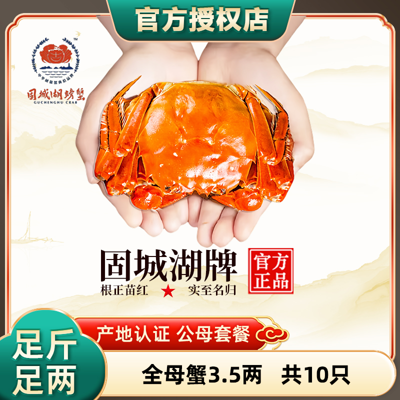 净重固城湖螃蟹10只全母蟹3.5两