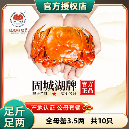净重固城湖螃蟹10只全母蟹3.5两