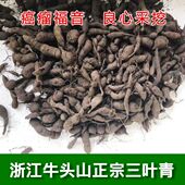 浙江正宗三叶青500g金线吊葫芦石老鼠小儿退热清热祛火中药材 包邮