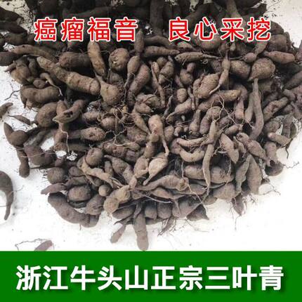 浙江正宗三叶青500g金线吊葫芦石老鼠小儿退热清热祛火中药材包邮