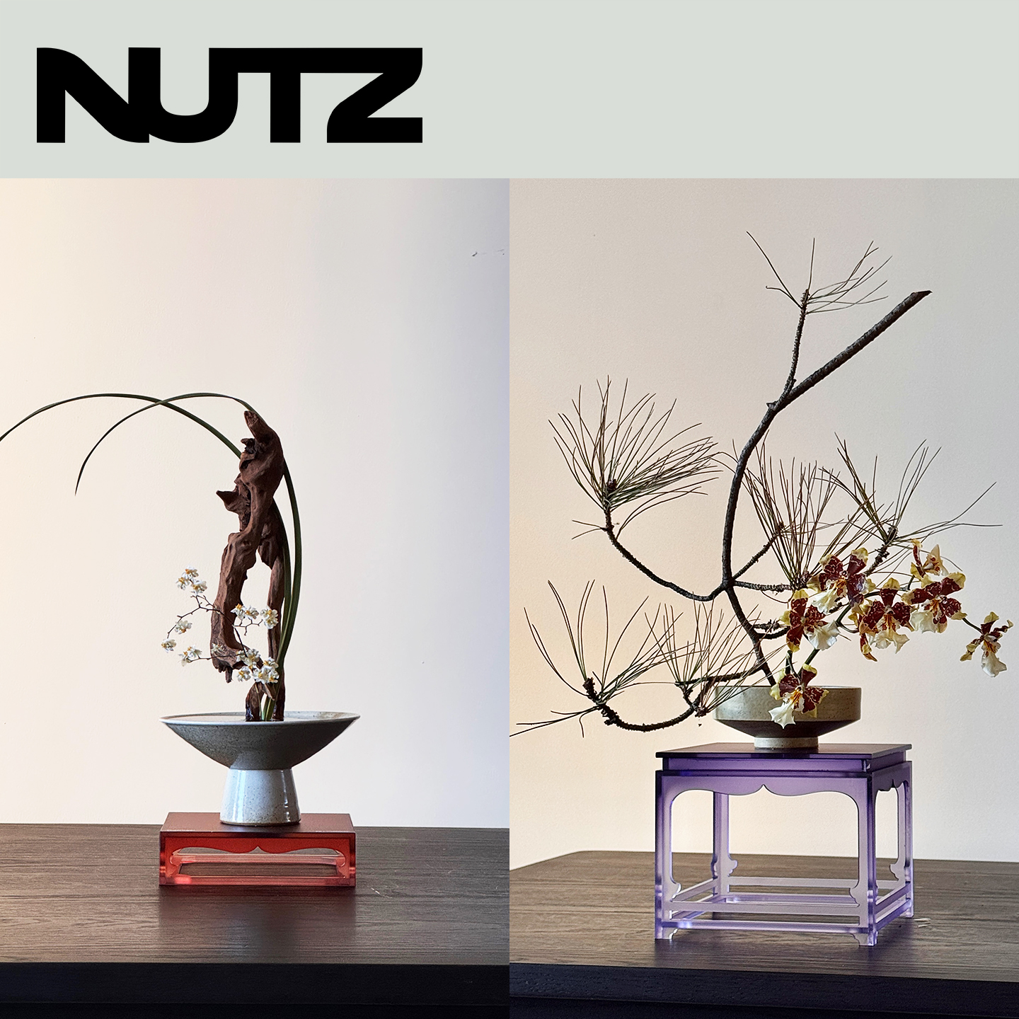 植行力新中式置物展台手办收纳