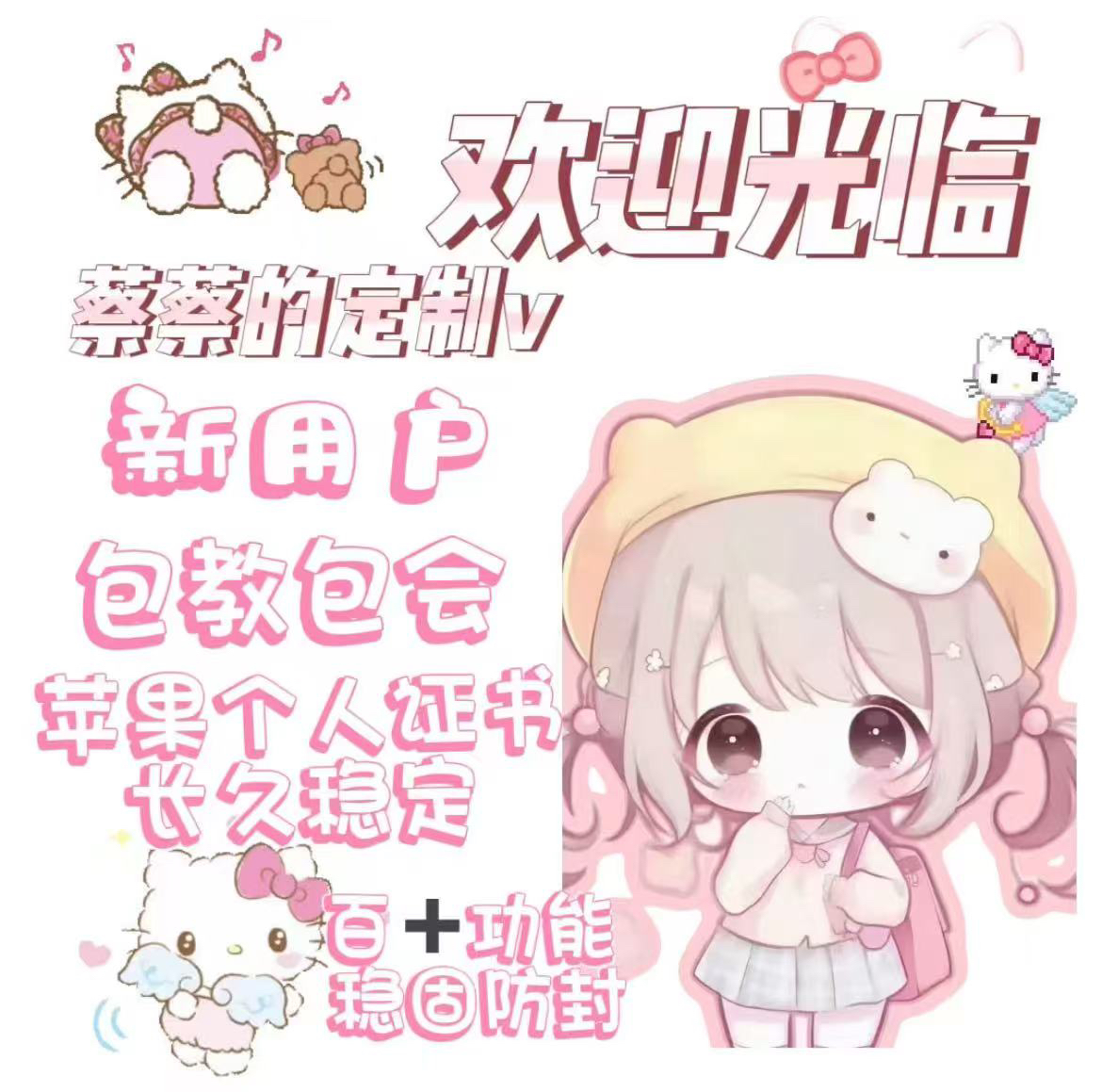 特价秒出/定制v/iOS定制v/猪咪/酸果/包教包会/苹果个人证书