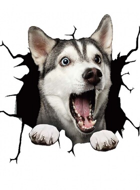 跨境款裂纹动物墙贴贴纸创意破洞汽车贴个性玻璃贴狗狗贴纸