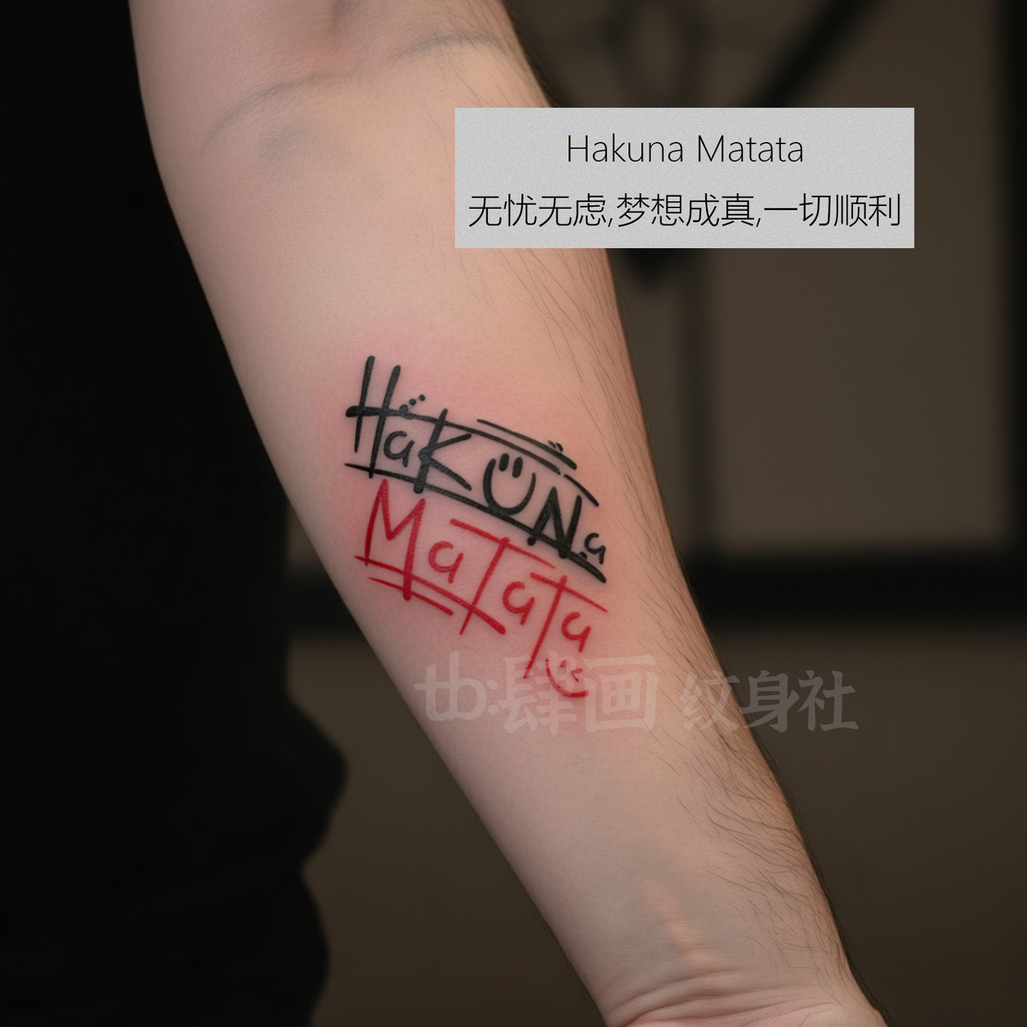英文遮疤纹身贴纸HakunaMatata
