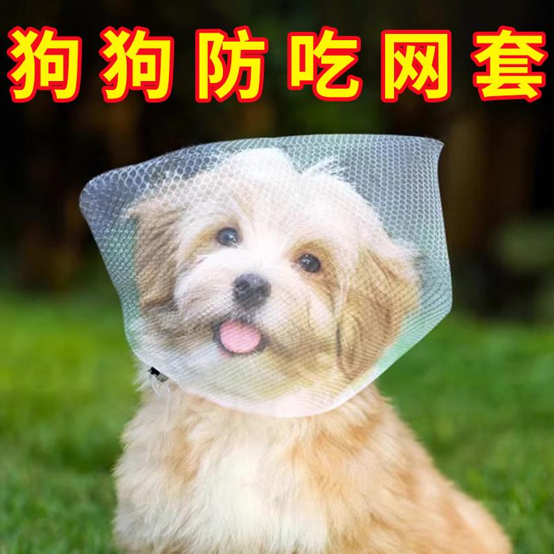 防止狗狗乱吃东西狗狗外出嘴套防咬乱吃嘴罩小型口罩神器防舔网套