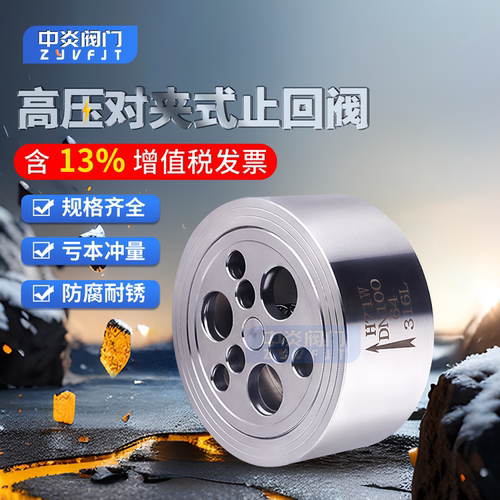 高压对夹式不锈钢304止回阀