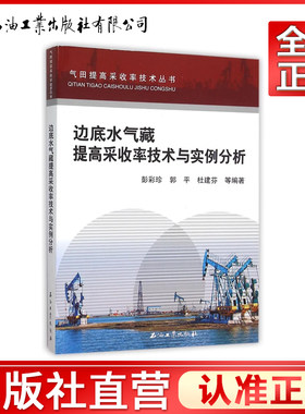 边底水气藏提高采收率技术与实例分析/气田提高采收率技术丛书