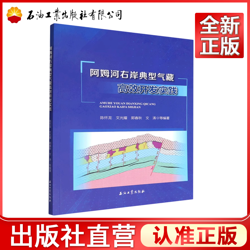 阿姆河右岸典型气藏高效开发实践陈怀龙，文光耀，郭春秋，文涛编 9787518349111-封面