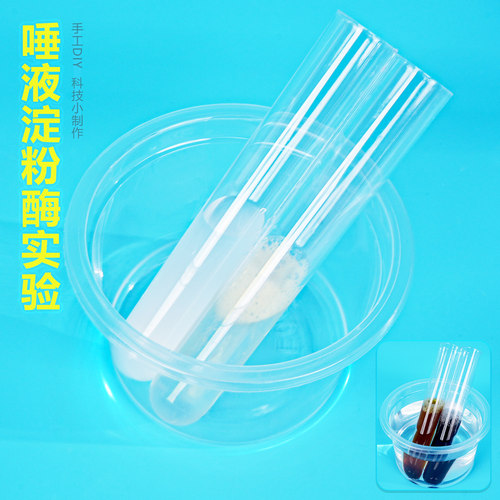 唾液淀粉酶化学食物催化分解小科学实验 学生手工DIY科技小制作新
