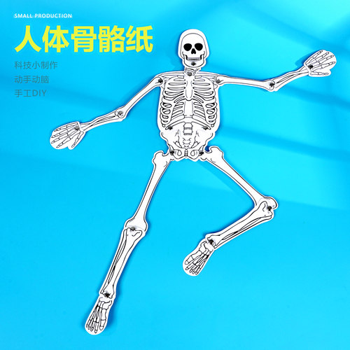 小制作晋龙轩科学实验手工DIY