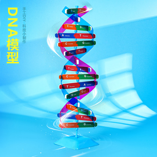 DNA双螺旋结构模型手工diy科技小制作人体基因生物科学实验材料包
