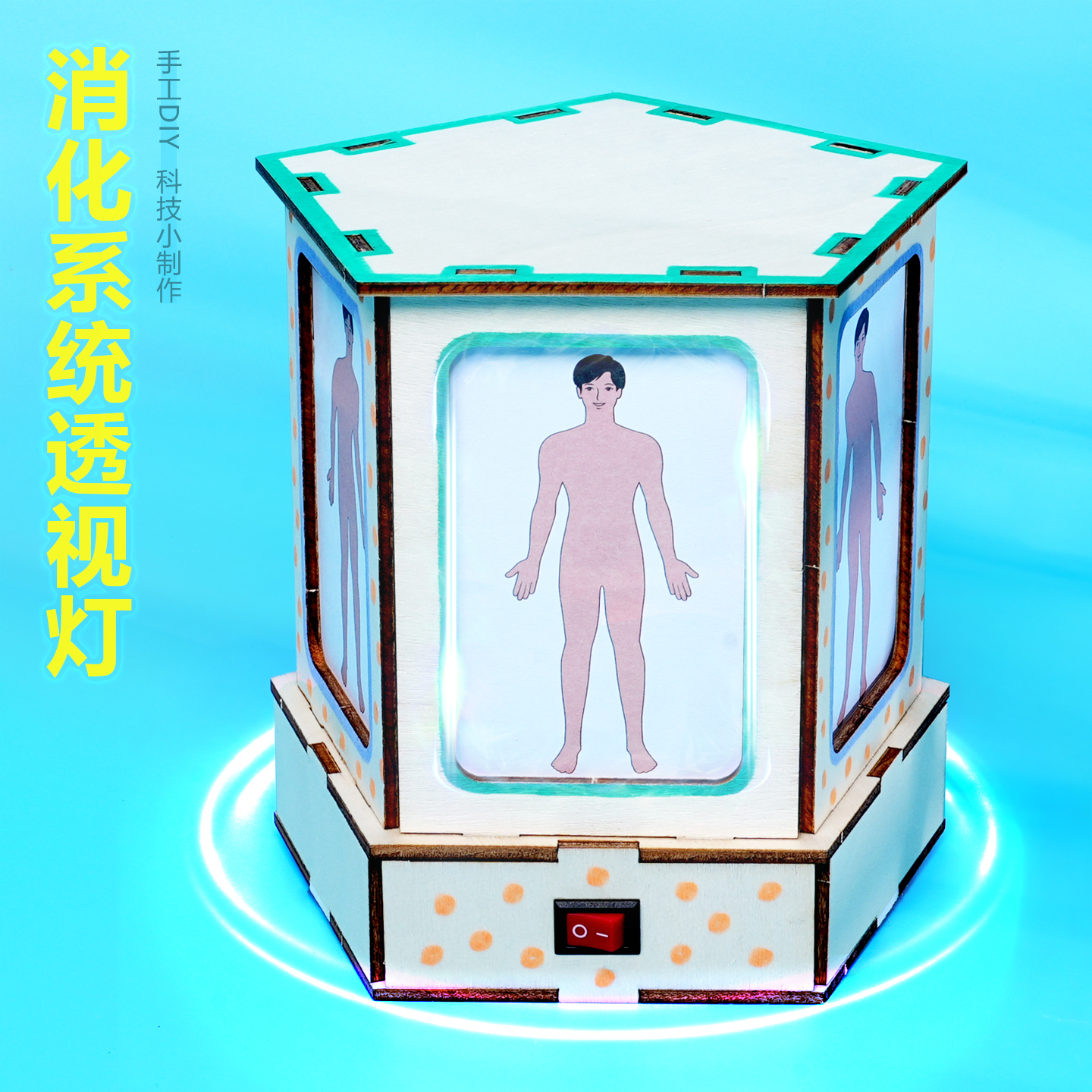 人体观察消化系统透视灯学生科学实验手工 diy木质拼插科技小制作