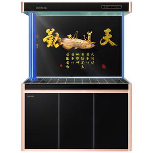 闽江鱼缸客厅生态中型水族箱