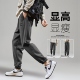 男休闲长裤 宽松运动裤 百搭卫裤 唐狮秋冬新款 直筒束脚裤 子潮流W