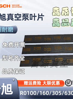 R0100/160/305/630真空泵旋片
