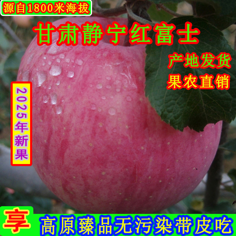 静宁苹果甘肃苹果静宁红富士大果