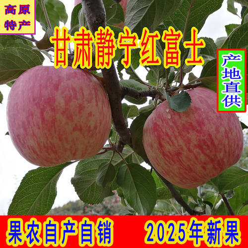 红富士甘肃静宁苹果包邮